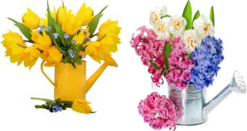 flowers in basket sunflowers t