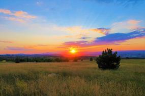 colorful Sunset above meadow at summer