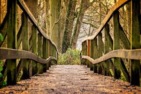 incredible Away Bridge Wood