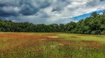 meadows off the coast of mississippi on a cloudy day