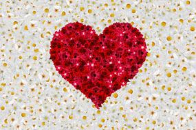 Heart Flower Beautiful magnificent
