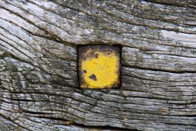 Wood Weathered