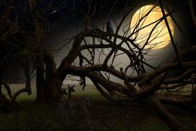 delightful Landscape Animals