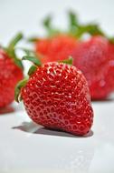 Beautiful, shiny, ripe, red strawberries with the green leaves