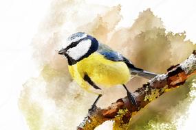 Beautiful and colorful drawing of the woodland bird on the branch