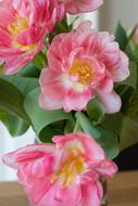 Close-up of the beautiful, pink, purple, white and yellow flowers, with the green leaves, in the bouquet