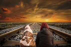 Girl, with the cute, colorful and beautiful dog, sitting on the railroad in Vias, at colorful and beautiful sunset