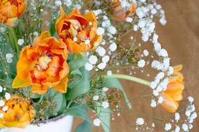 bouquet of orange tulips in a vase