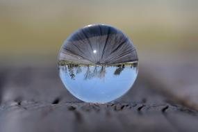 delightful Natural Landscape ball