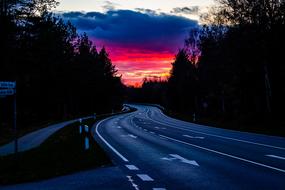 forest highway against the red evening sky at dusk