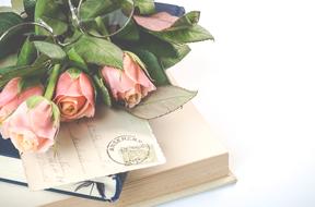 bouquet of roses on vintage postcard