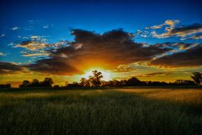 photo dawn over a green agricultural field