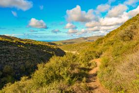 enchanting Path Nature Mountains