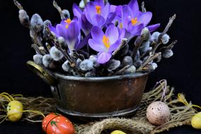 Crocus Palm Branches
