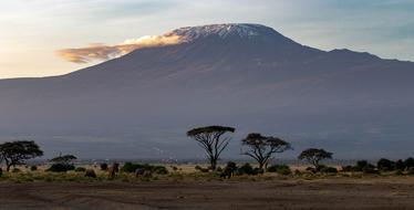 magnificent Africa Kenya Amboseli