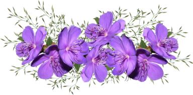 clipart of the Purple Flowers at white background