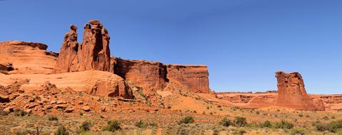 Beautiful landscape with panorama of the desert with plants in Utah, USA