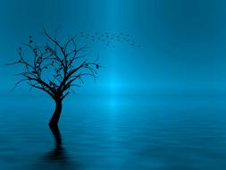nature fantasy color