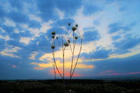 landscape of delightful Evening Dawn