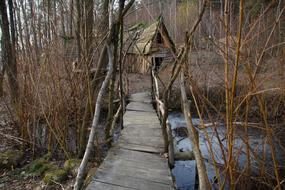 wooden footbridge over creek in forest