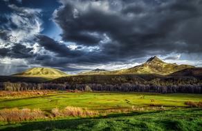 panoramic photo of a green field and forest on a background of mountains in Colorado