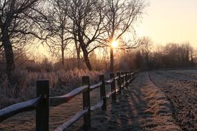 delightful Snow Winter