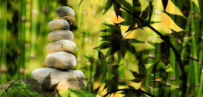 venchanting Wellness Stones