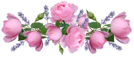 Pink Roses and lavender, floral arrangement