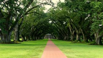 Louisiana Plantation