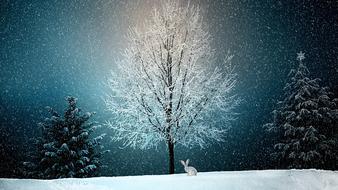 Wintry Snow tree as a digital art