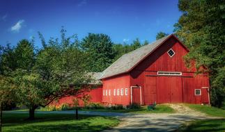 red barn among trees at summer, usa, Vermont