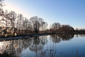 attractive Pond Water Mirroring
