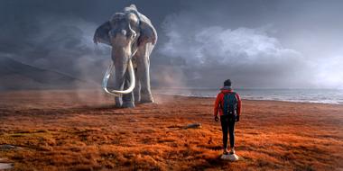 Person near the beautiful and cute, gray elephant, on the beautiful beach, under cloudy sky