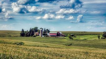 landscape of Iowa Farm Barns