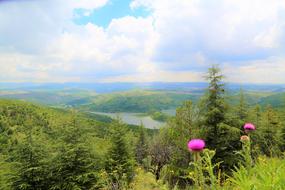 attractive Nature Lake