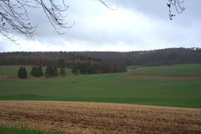 delightful Field Meadow Elbe