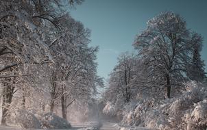 photo of a fabulous winter park