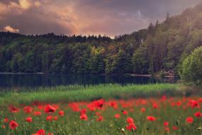 magnificent Landscape Nature Beautiful