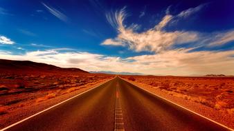 attractive Desert Landscape