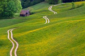 magnificent winding Trail through Meadow