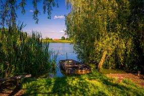 wooden boat moored on calm river beneath tree at summer