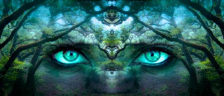 Beautiful and colorful eyes, among the plants and water in the forest, clipart