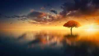 lonely tree with orange crown in water at sunset sky, digital art