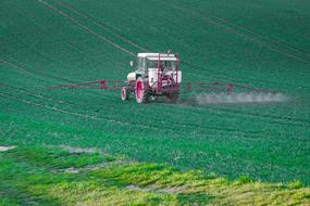 landscape of Pesticide Glyphosate Plant