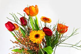 photo of a bouquet of tulips and gerberas