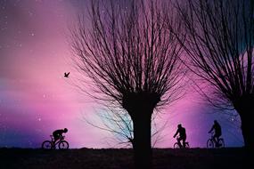trees and cyclists on a background of purple sky