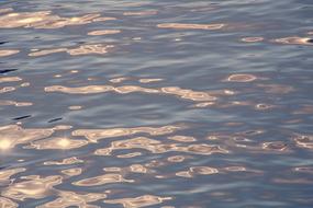 excellent River Wave