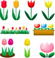 drawing of garden colorful tulips