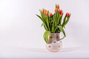 Close-up of the colorful and beautiful spring tulip flowers, with the green leaves, in the colorful, beautiful and patterned vase