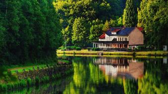 Beautiful landscape with the house near the water among colorful plants
